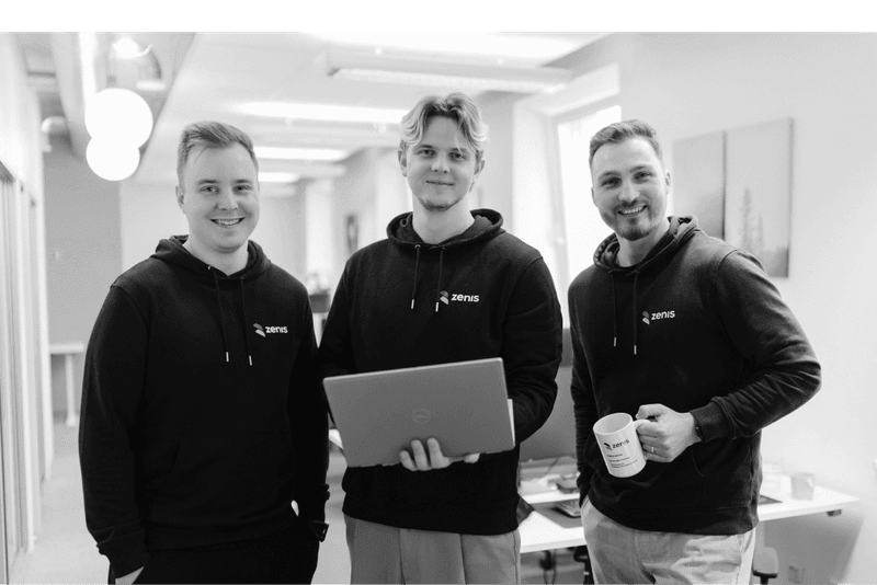ZenIS consultants